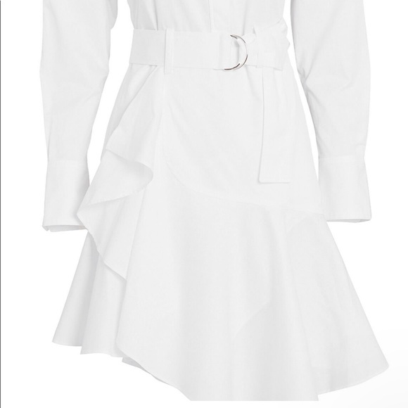 A.L.C. Jacey Cotton Poplin Shirt Dress - Picture 3 of 16